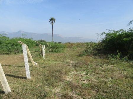 2) 600 Ankanams Land for Sale Near Tirupati - Chandragiri Highway.JPG